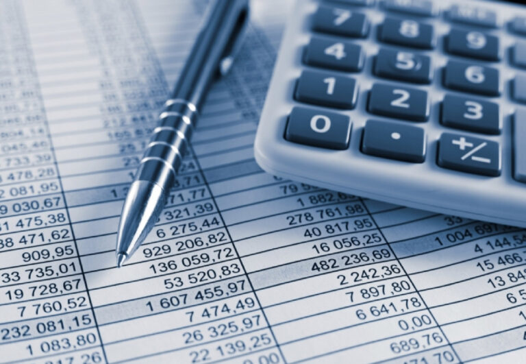 Basic Bookkeeping Training, Recruitment, Consulting Lion Heart